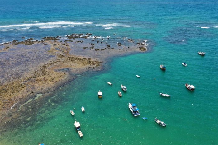 Praia do Forte en Vacaciones de Julio